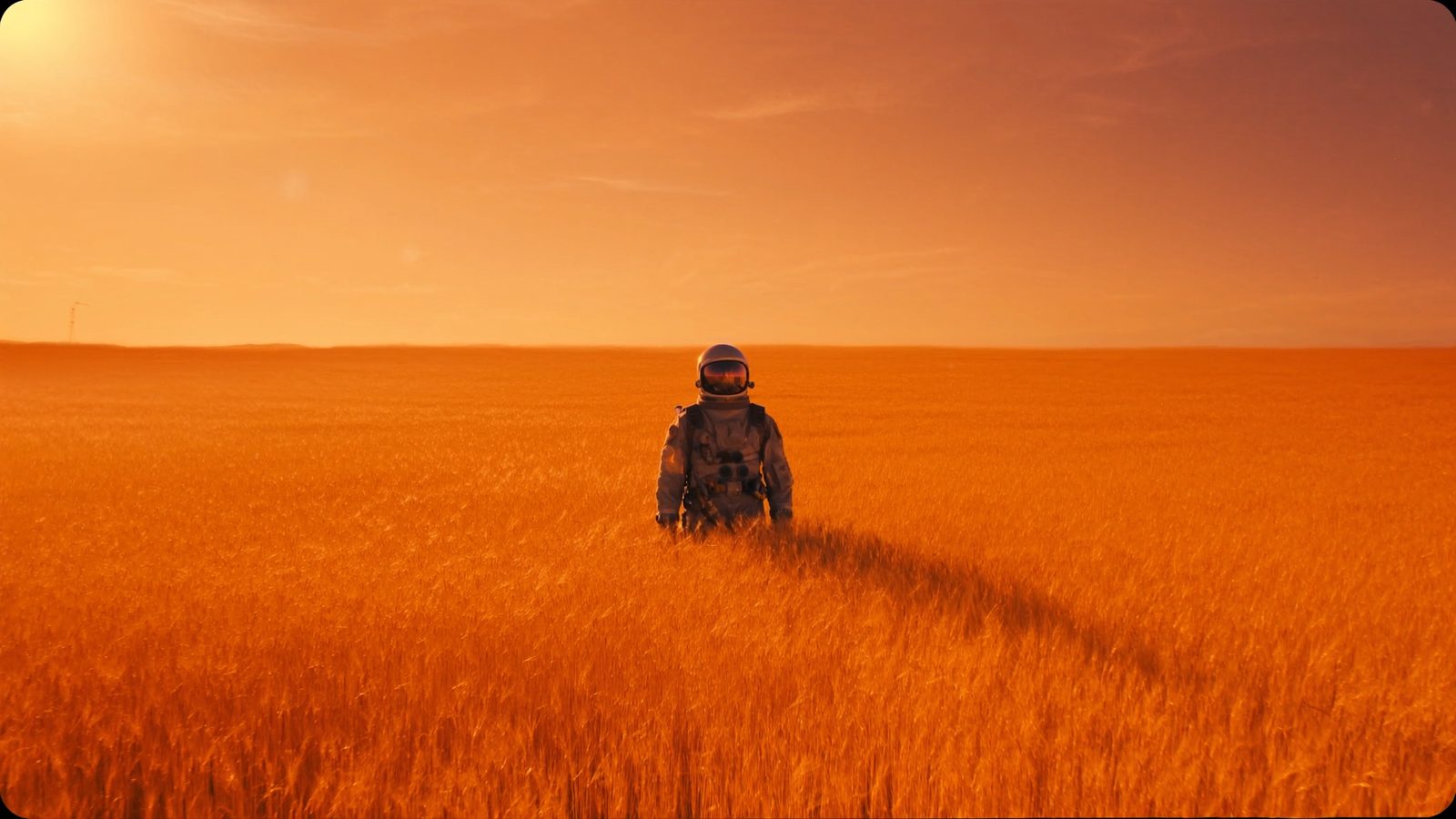 Astronaut in a golden wheat field