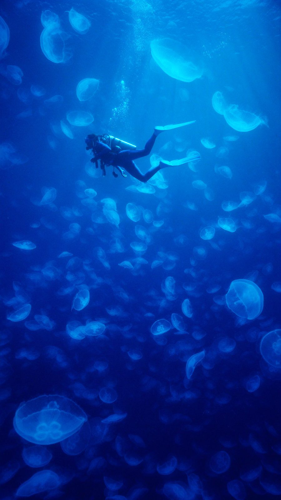 Luminous underwater artwork